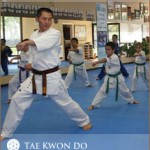 tae-kwon-do