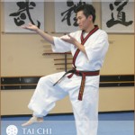 tai-chi